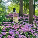 南京中山植物园-北园 - 南京市旅游 缩略图 4