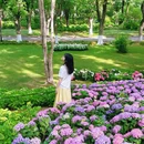 南京中山植物园-北园 - 南京市旅游 缩略图 1