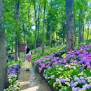 南京中山植物园-北园 - 南京市旅游 缩略图 2
