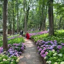 南京中山植物园-北园 - 南京市旅游 缩略图 9