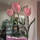 午逅牛排·Restaurant - 西安旅游 缩略图 7