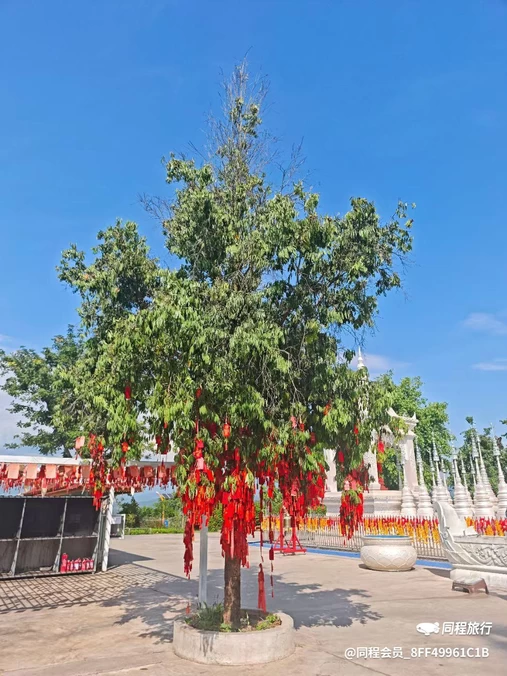 金香顿悦庭高空无边泳池全景花园酒店(西双版纳嘎洒国际机场店) - 西双版纳傣族自治州旅游