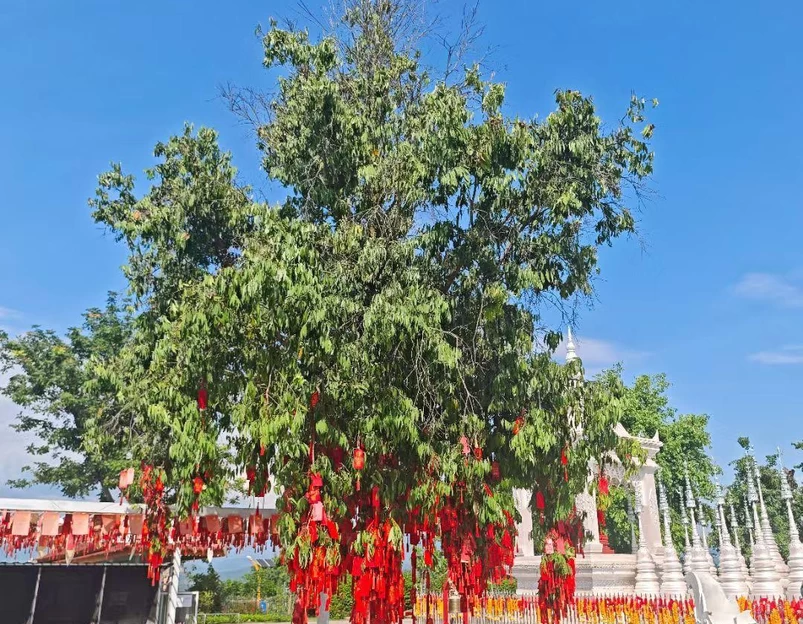 金香顿悦庭高空无边泳池全景花园酒店(西双版纳嘎洒国际机场店) - 西双版纳傣族自治州旅游 1