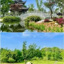 吾悦广场(成都龙泉驿店) - 成都市旅游 缩略图 1