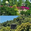 吾悦广场(成都龙泉驿店) - 成都市旅游 缩略图 2