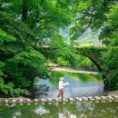 大鄣山卧龙谷景区 - 上饶市旅游 缩略图 1