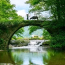 大鄣山卧龙谷景区 - 上饶市旅游 缩略图 8