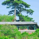 妙峰山玫瑰梯田观景平台 - 北京市旅游 缩略图 2