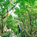 妙峰山玫瑰梯田观景平台 - 北京市旅游 缩略图 4
