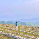 妙峰山玫瑰梯田观景平台 - 北京市旅游 缩略图 8