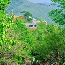 妙峰山玫瑰梯田观景平台 - 北京市旅游 缩略图 7