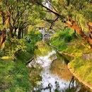 北坞公园 - 北京市旅游 缩略图 5