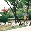 航天基地水生态循环公园 - 西安市旅游 缩略图 8