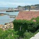 三梦季·情人坝海鲜餐厅(动物园店) - 威海市旅游 缩略图 8