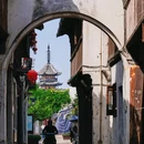 震泽古镇 - 苏州市旅游 缩略图 9
