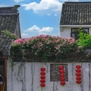 震泽古镇 - 苏州市旅游 缩略图 8