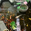 李公堤国际风情商业水街 - 苏州市旅游 缩略图 4