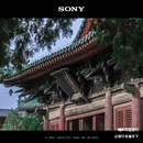 正定隆兴寺 - 石家庄市旅游 缩略图 8