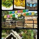 玄妙广场 - 苏州市旅游 缩略图 8