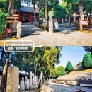 定州中山汉墓 - 保定市旅游 缩略图 6