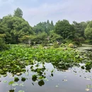 杭州植物园 - 杭州市旅游 缩略图 4