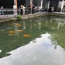 杭州植物园 - 杭州市旅游 缩略图 3