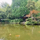 杭州植物园 - 杭州市旅游 缩略图 2