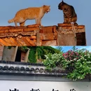周铁镇 - 无锡市旅游 缩略图 5