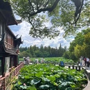 杭州西湖 - 杭州市旅游 缩略图 4