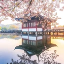 杭州西湖 - 杭州市旅游 缩略图 9