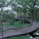 白蛇飞渡 - 杭州市旅游 缩略图 3