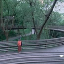 白蛇飞渡 - 杭州市旅游 缩略图 5