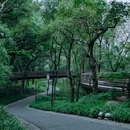 白蛇飞渡 - 杭州市旅游 缩略图 4