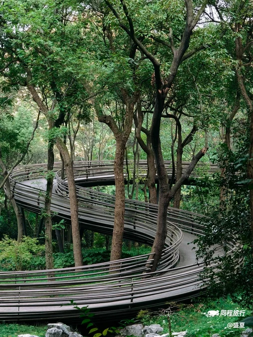 白蛇飞渡 - 杭州市旅游