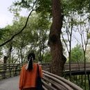 白蛇飞渡 - 杭州市旅游 缩略图 6