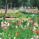 南京平山森林公园 - 南京市旅游 缩略图 4