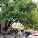汉唐四季酒店(五一广场火车站地铁口店) - 长沙市旅游 缩略图 7