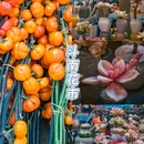 昆明瀑布公园 - 昆明市旅游 缩略图 5