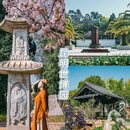 昆明瀑布公园 - 昆明市旅游 缩略图 6