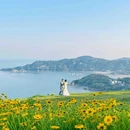 温州景山公园 - 温州市旅游 缩略图 3