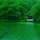 杭州湘湖景区 - 杭州市旅游 缩略图 3