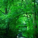 杭州湘湖景区 - 杭州市旅游 缩略图 2