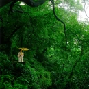 杭州湘湖景区 - 杭州市旅游 缩略图 7