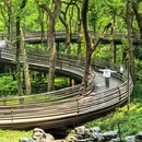 杭州西溪湿地国家公园 - 杭州市旅游 缩略图 1