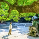 杭州西溪湿地国家公园 - 杭州市旅游 缩略图 7