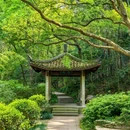 杭州西溪湿地国家公园 - 杭州市旅游 缩略图 8