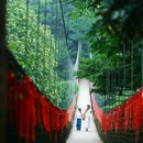 蒙顶山风景名胜区 - 雅安市旅游 缩略图 4