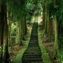 蒙顶山风景名胜区 - 雅安市旅游 缩略图 2