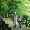 蒙顶山风景名胜区 - 雅安市旅游 缩略图 3