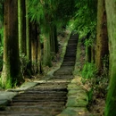 蒙顶山风景名胜区 - 雅安市旅游 缩略图 1
